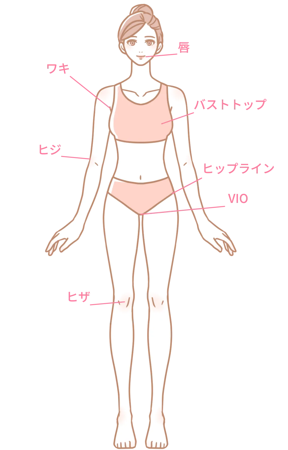 説明画像